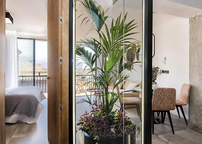 Luxury Alhambra Penthouse Collection Appartement